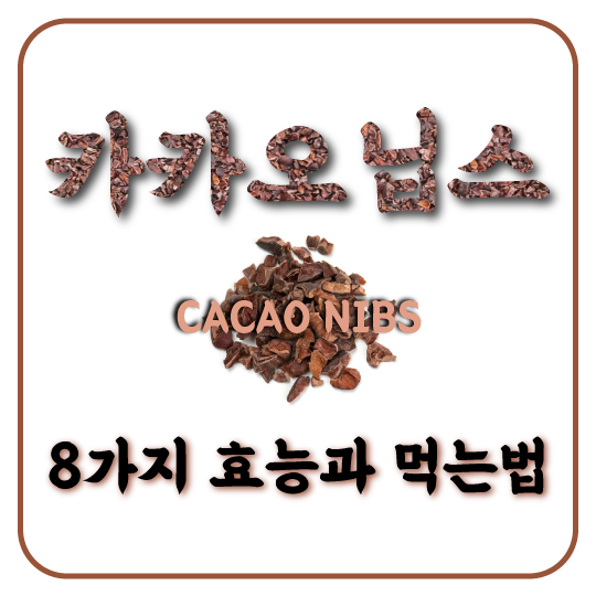  다이어트를 위한 필수 식품. 카카오 닙스의 8가지 효능과 먹는법