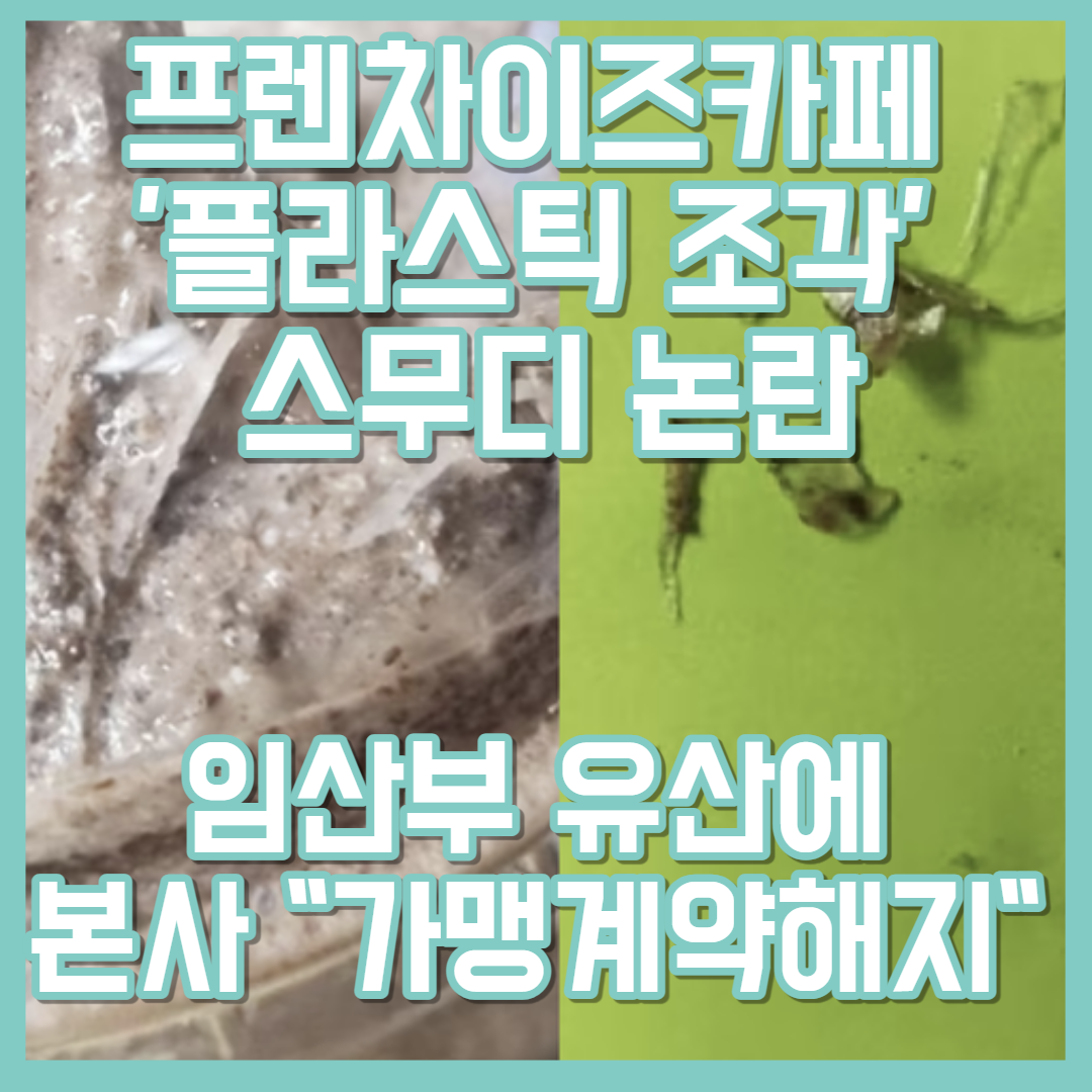 플라스틱 스무디에 유산한 임산부...카페 본사"가맹계약해지"