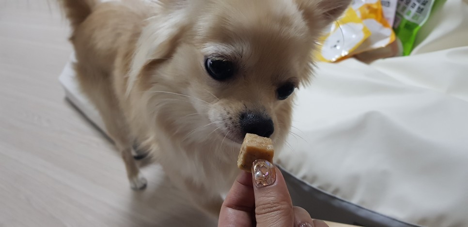 [강아지간식]허닭x핏펫몰 꼬꼬가슴살 맛있는 냄새로 8