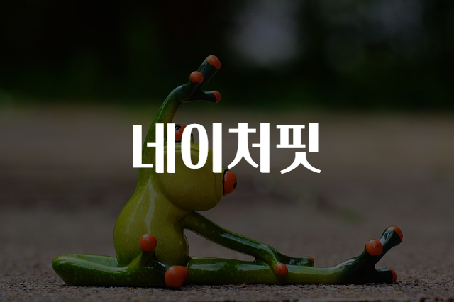 본네이처 이미지
