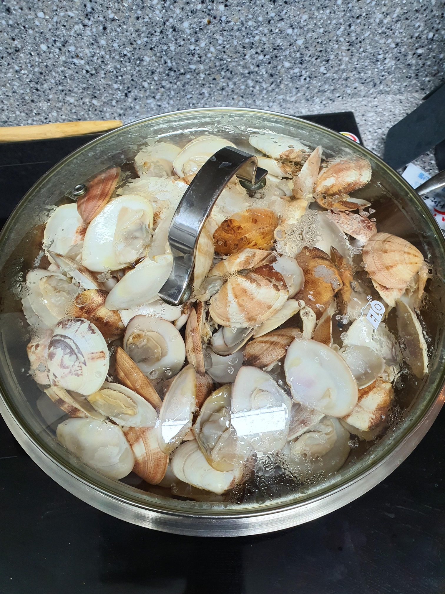 울진 백합 조개