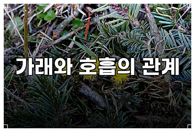 가래 제거를 위한 호흡법