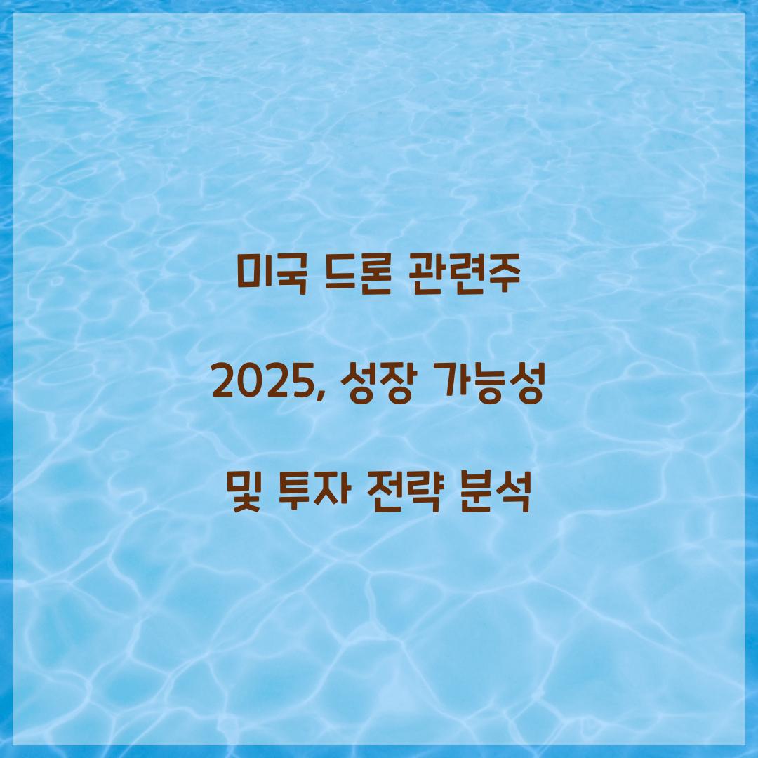미국 드론 관련주 2025