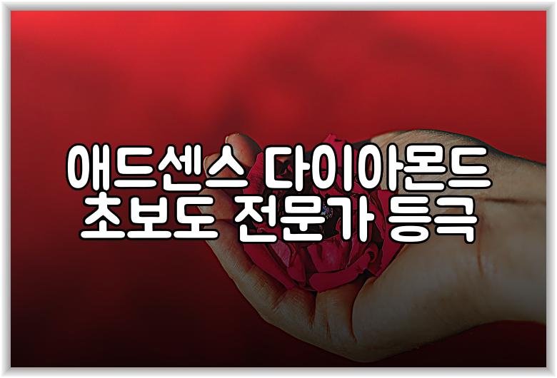 애드센스 다이아몬드 초보도 전문가 등극