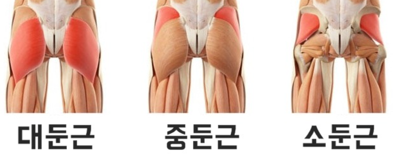 힙 어브덕션 머신 활용으로 힙딥 운동 중둔근 운동 가즈아 힙 어브덕션 머신 활용으로 힙딥 운동 중둔근 운동 가즈아