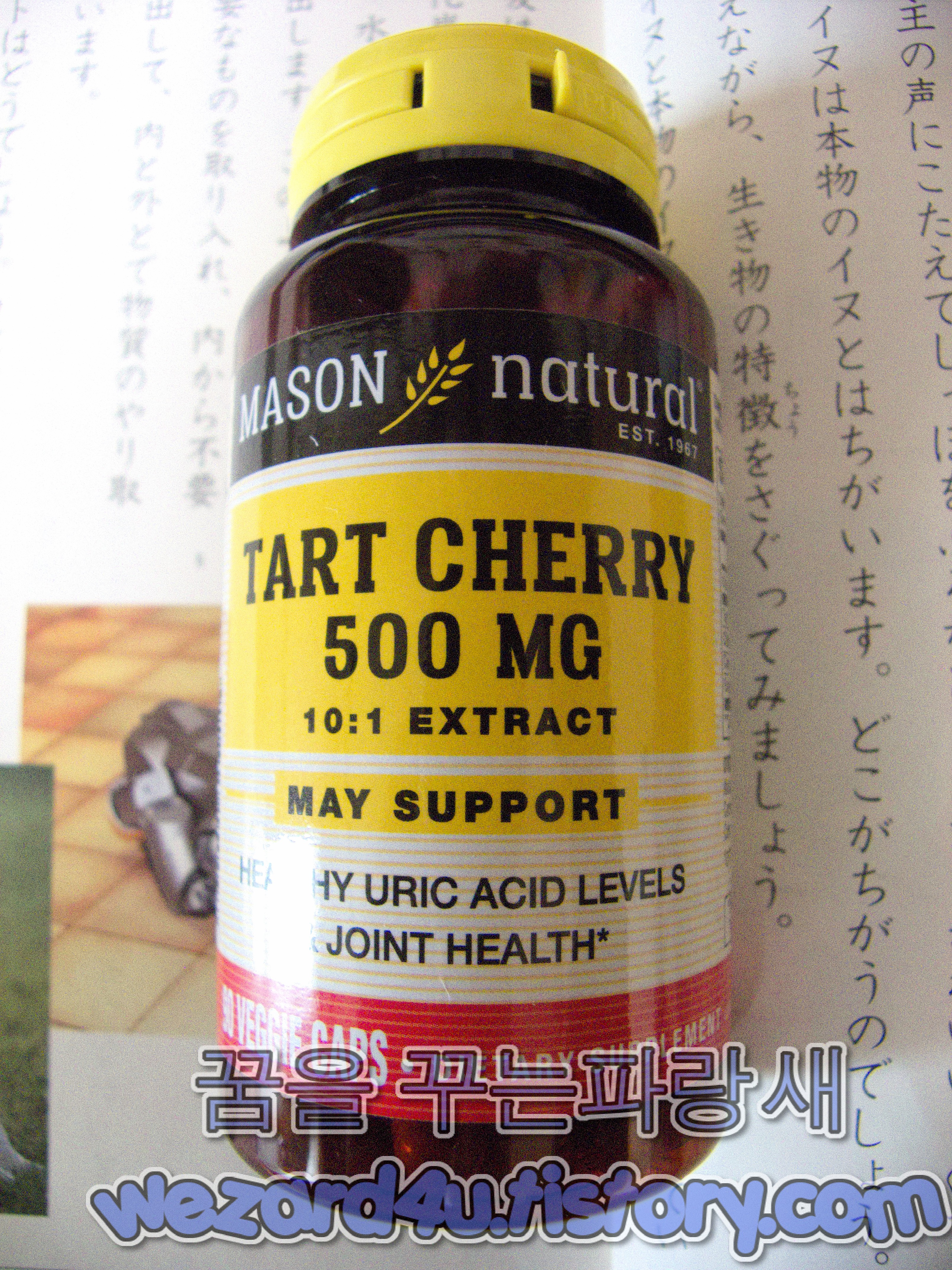  아이허브-매이슨 네츄럴스 타트 체리(Mason Natural Tart Cherry)