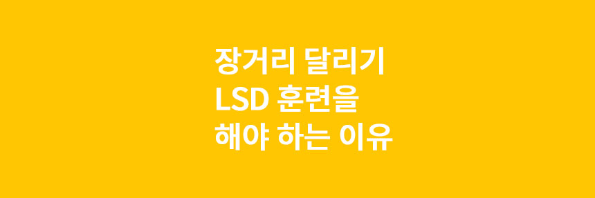 장거리-달리기-LSD