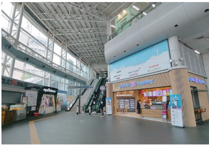  서울역 묻지마 폭행 용의자, 자택서 검거