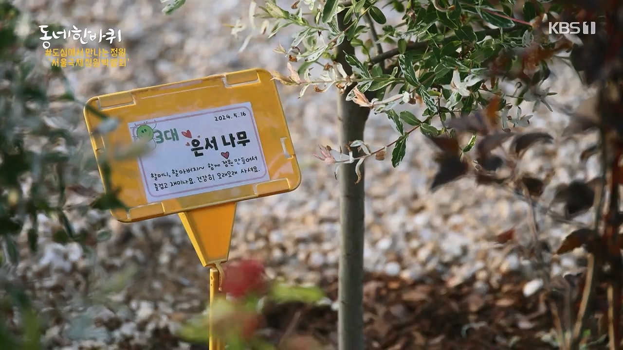 동네 한 바퀴.E277.240609p-NEXT.mp4_20240609_162910.350.jpg