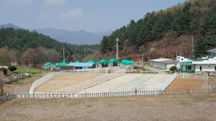 위드힐링 캠핑장 이미지