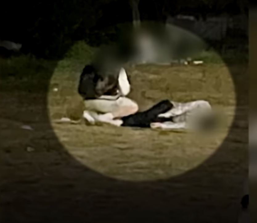  한강실종 대학생 손정민 목격자 추가 CCTV 확보 친구 A씨 및 가족들의 이상한 행동들