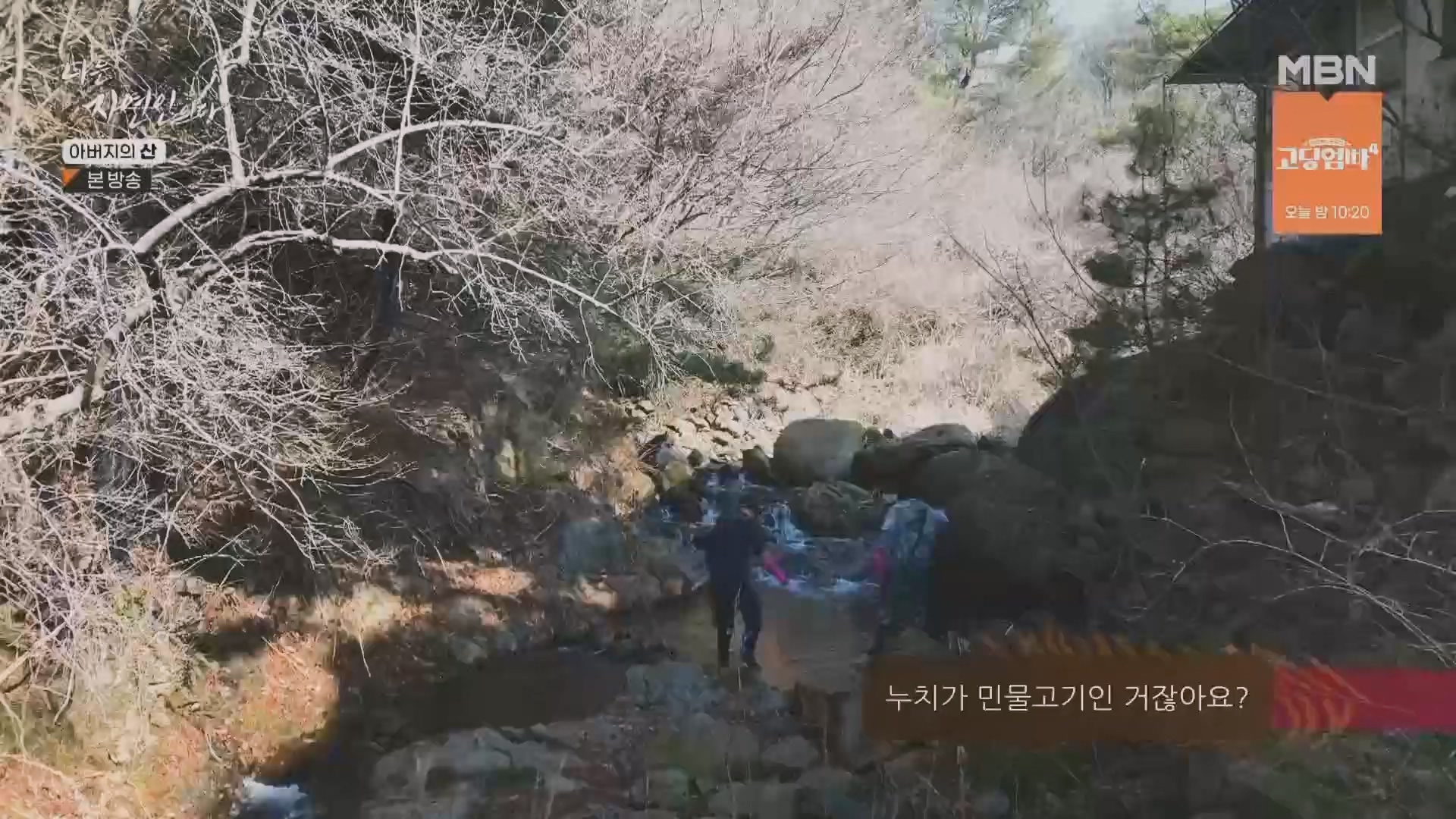 나는 자연인이다.E595.240228p.H264-F1RST.mp4_20240229_200115.356.jpg