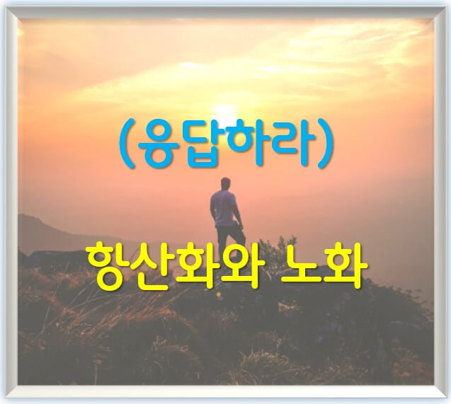 항산화와 노화