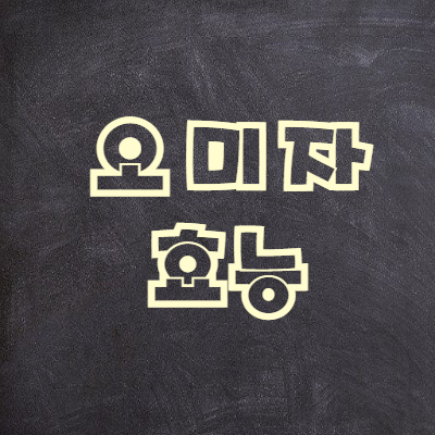 오미자 효능