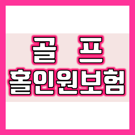  골프보험 추천 및 비교, 내가 원하는 홀인원보험료와 보장내용으로 가입하세요.