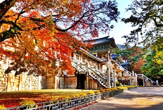 2023년 단풍시기 명소 날씨정보