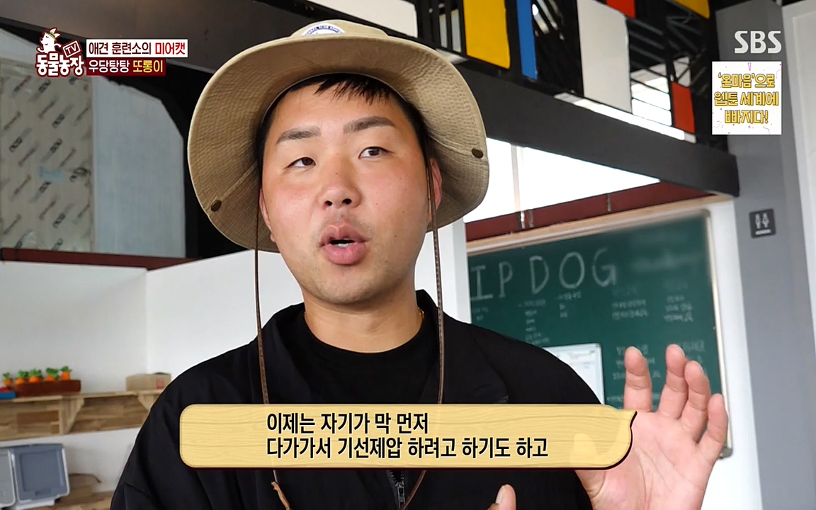 TV 동물농장.E1079.220725p-NEXT.mp4_20220724_151940.619.jpg