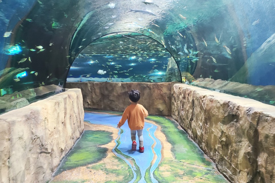 부천 아쿠아리움 부천 아쿠아리움먹이주기 체험 35