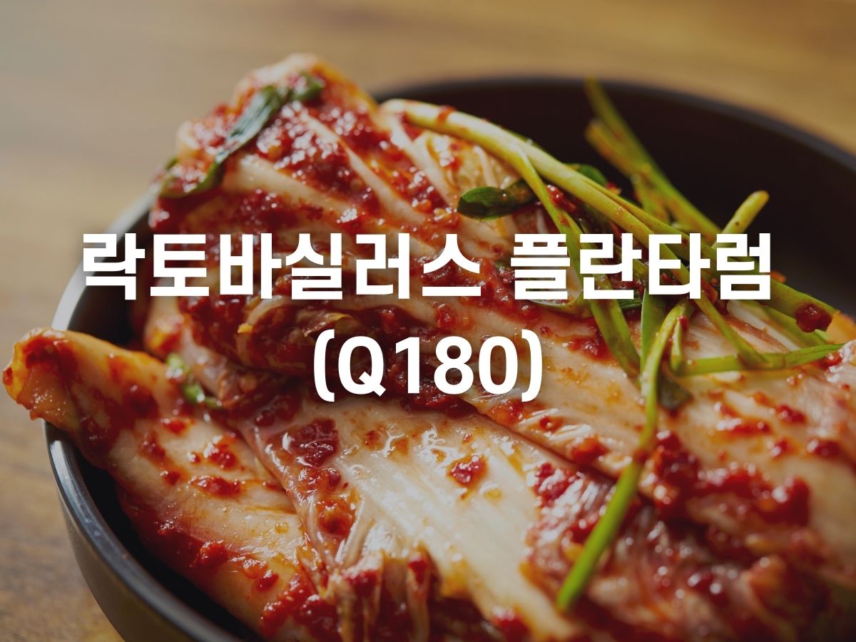 락토바실러스 플란타럼.jpg