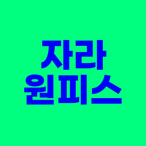  자라 원피스 BEST 10