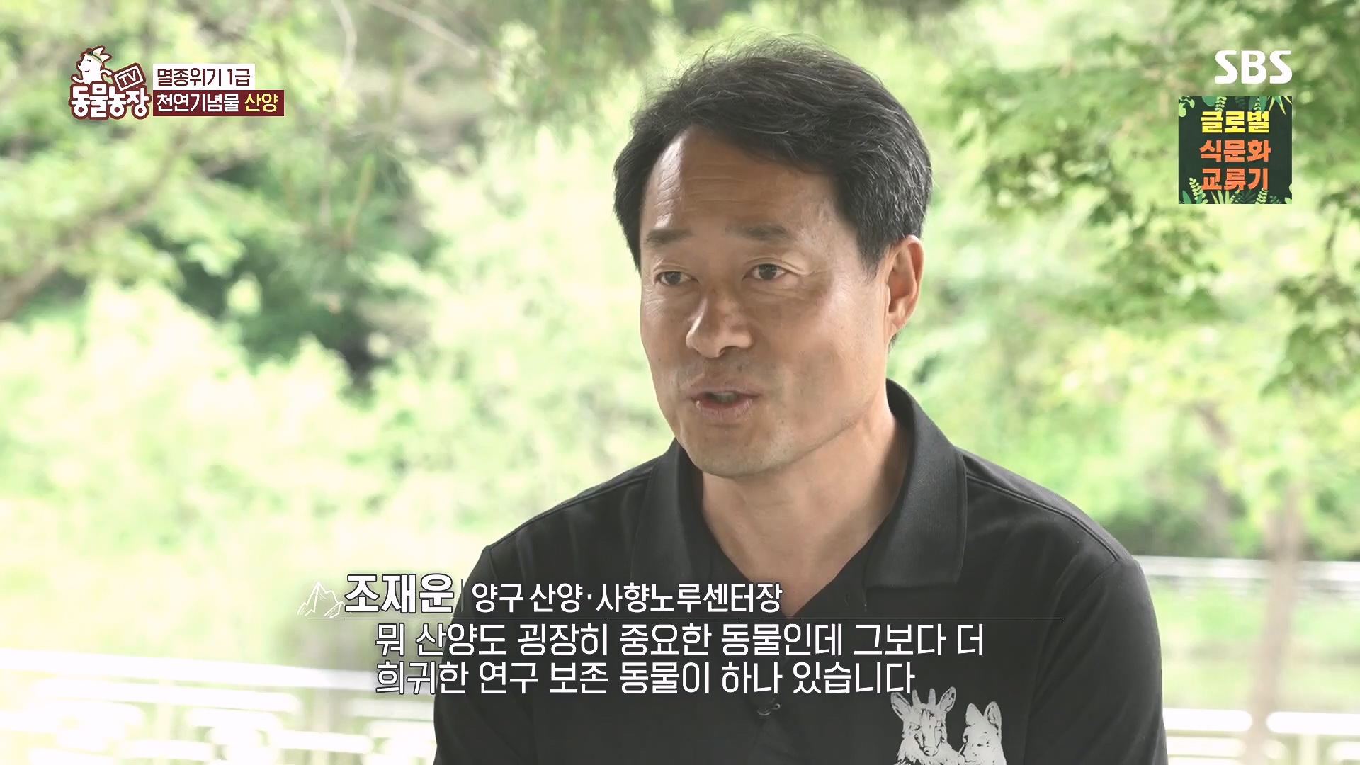 TV 동물농장.E1185.240818p.H264-F1RST.mp4_20240818_161610.106.jpg
