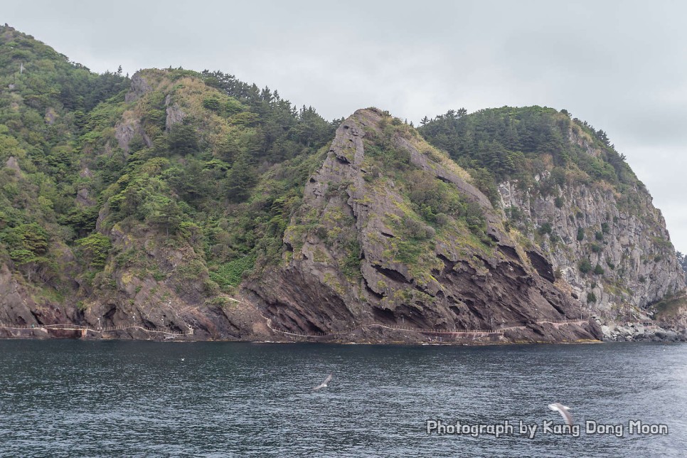 울릉도 여행 가볼만한곳 유람선 배 타기 국내 바다 추천 경북 동해안 2박3일