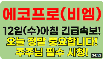 7월 12일 에코프로비엠 전망