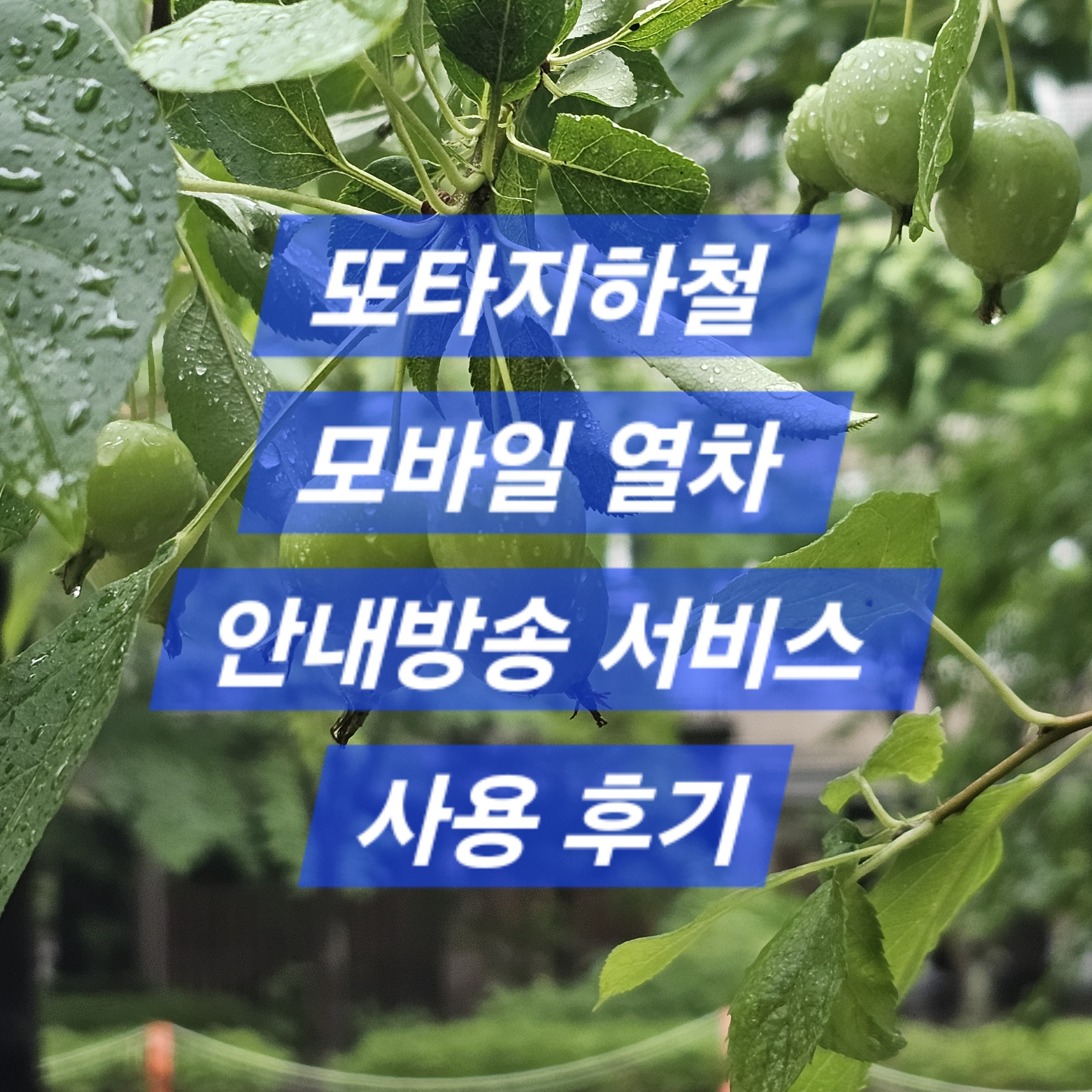 또타지하철
