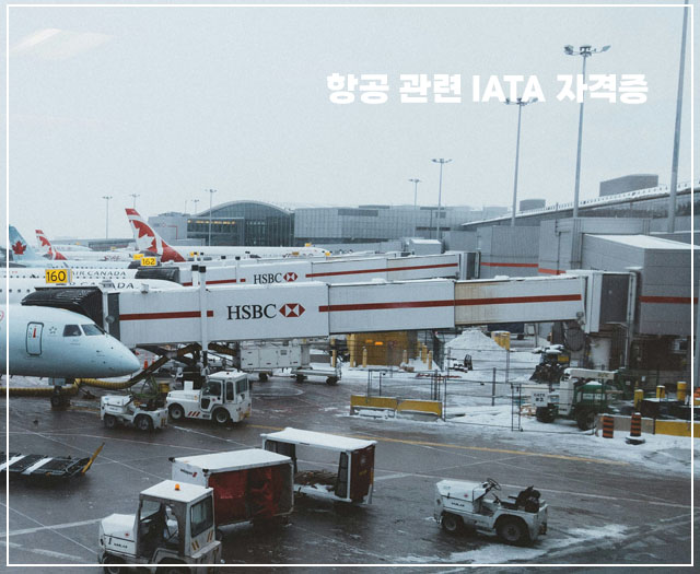 IATA-3