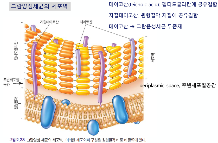 article thumbnail image