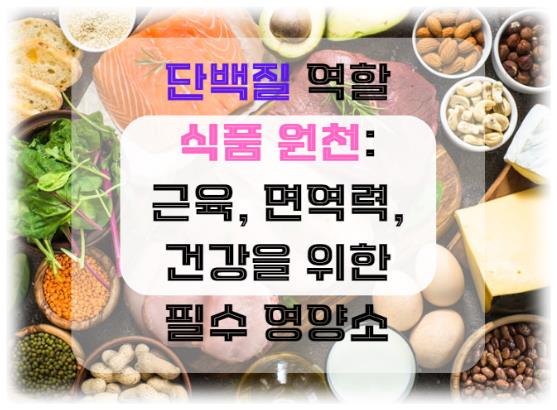 단백질의 역할과 식품 원천: 근육, 면역력, 건강을 위한 필수 영양소