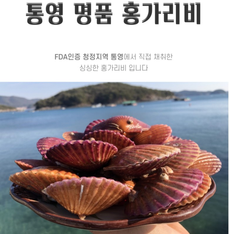  통영 가리비 추천 둥이네수산 고압 브러쉬세척 통영 제철 홍가리비