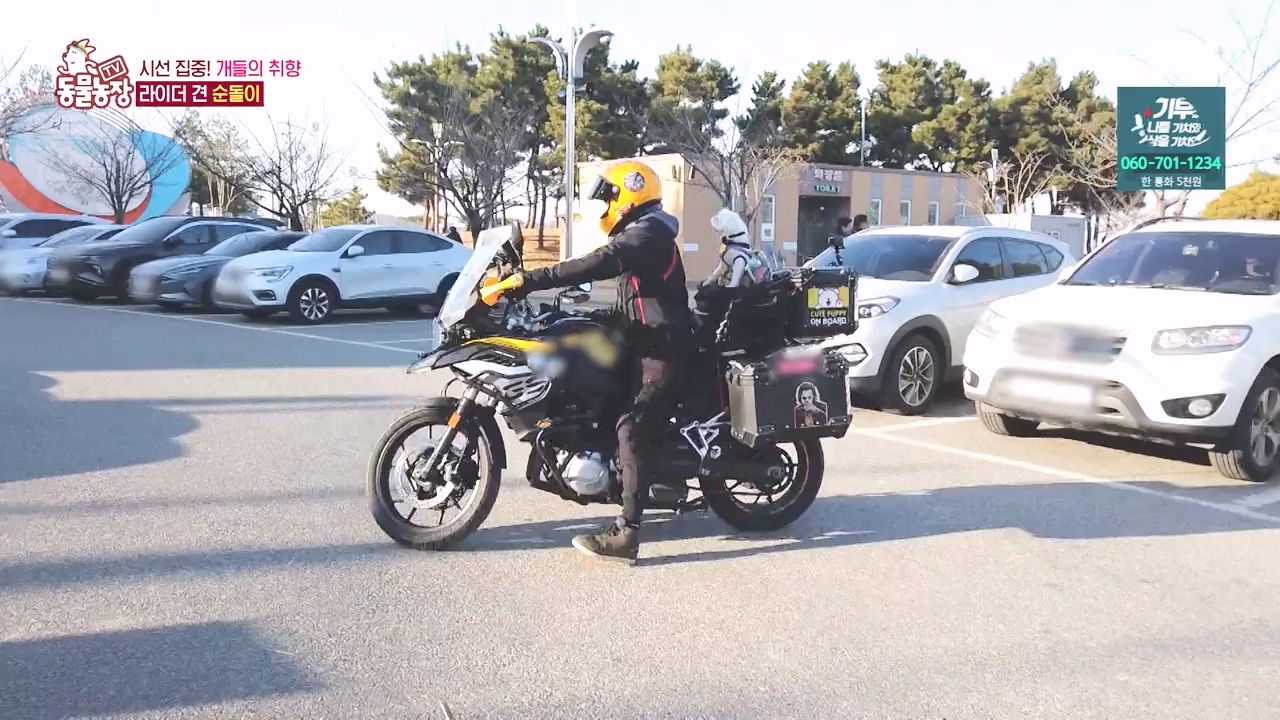 TV 동물농장.E1152.231232p-NEXT.mp4_20231231_172005.518.jpg