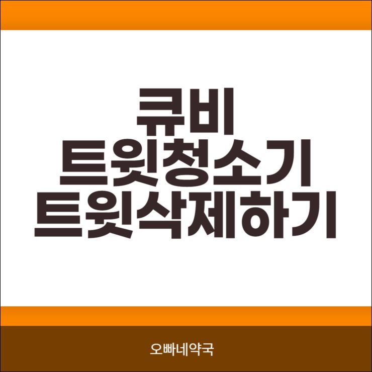  큐비 트윗청소기 로 트윗 청소하기