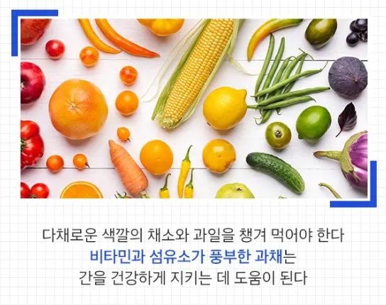약초생활건강 이미지
