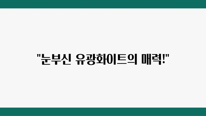 유광화이트 랩핑으로 완성하는 세련된 도로 위의 모습