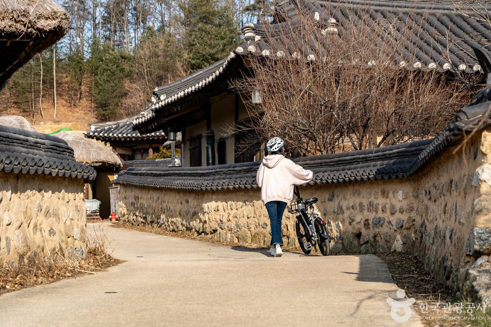  무섬마을로 향하는 봄빛 여정, 영주 자전거길