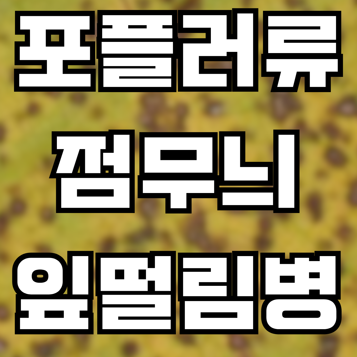  포플러류 점무늬잎떨림병(낙엽병)