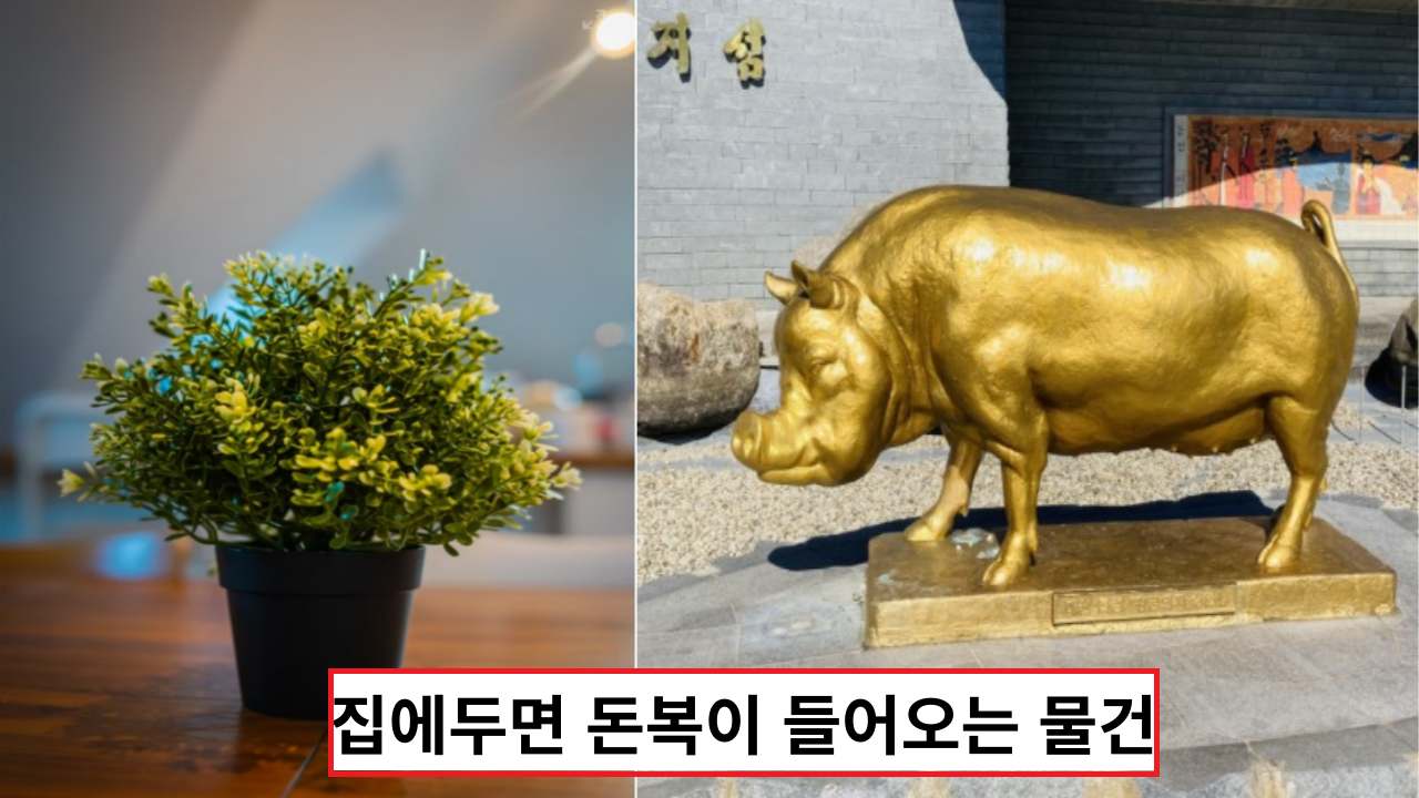  '집에 대박 돈이 들어와요' 집에두면 돈복이 들어오는 물건