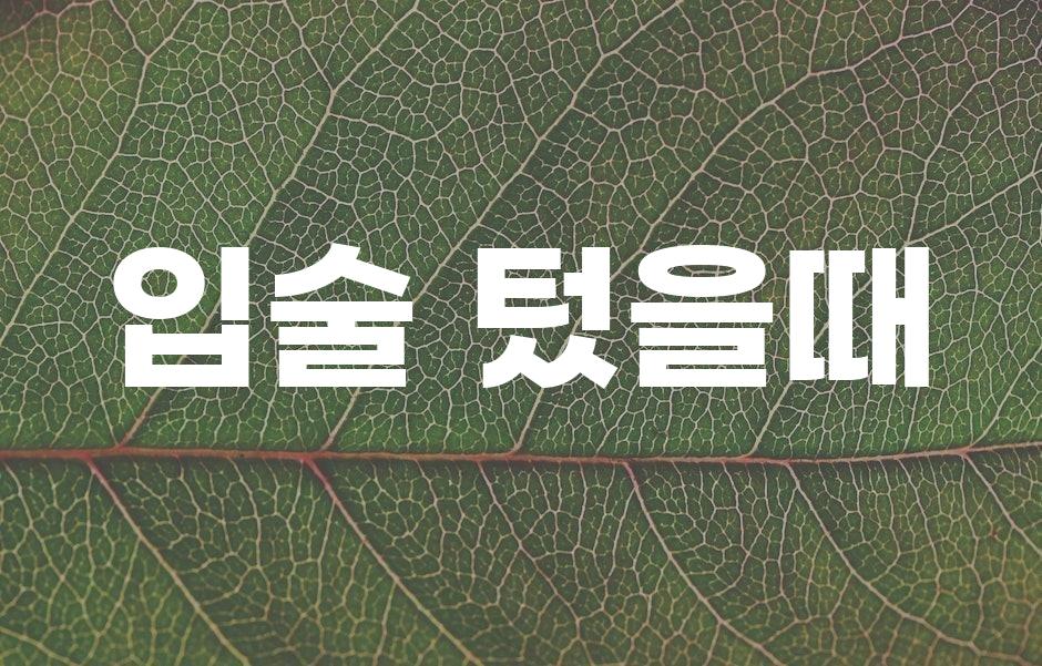 샘플 (43)