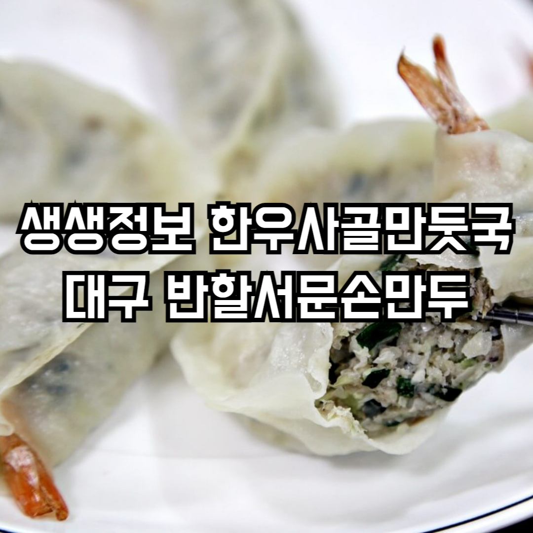 생생정보 한우사골손만둣국 대구 반할서문손만두