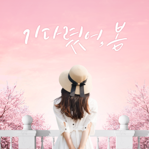  기다렸어, 봄! 2024년 봄철 꽃나무 개화시기는 언제?