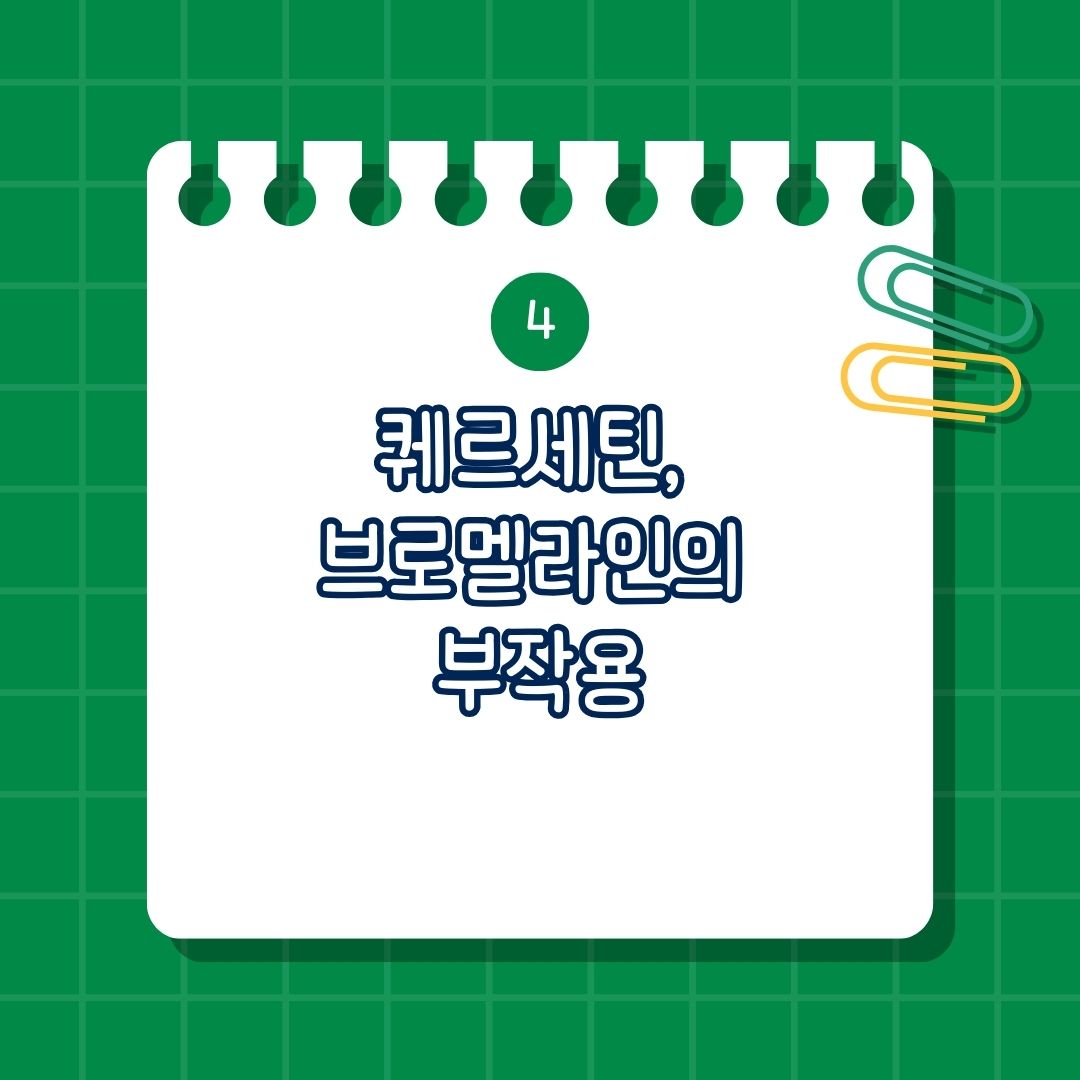 퀘르세틴(Quitertin) 브로멜라인(Bromelain), 퀘르세틴 브로멜라인 비교, 퀘르세틴 브로멜라인 부작용