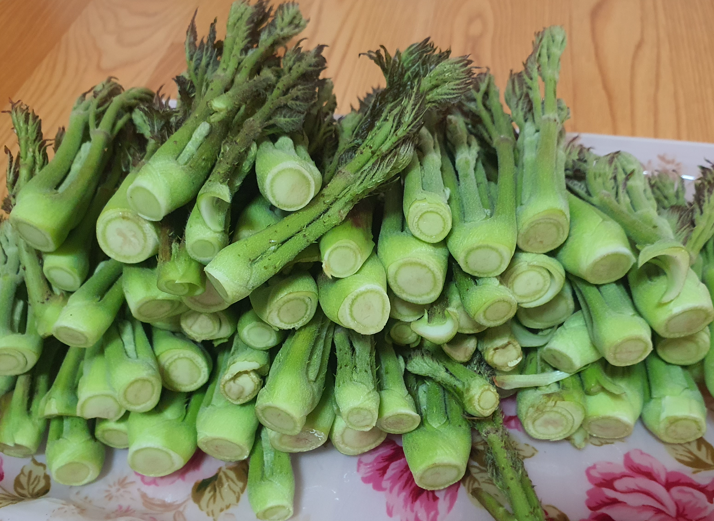 두릅! 채취 시기 채취방법