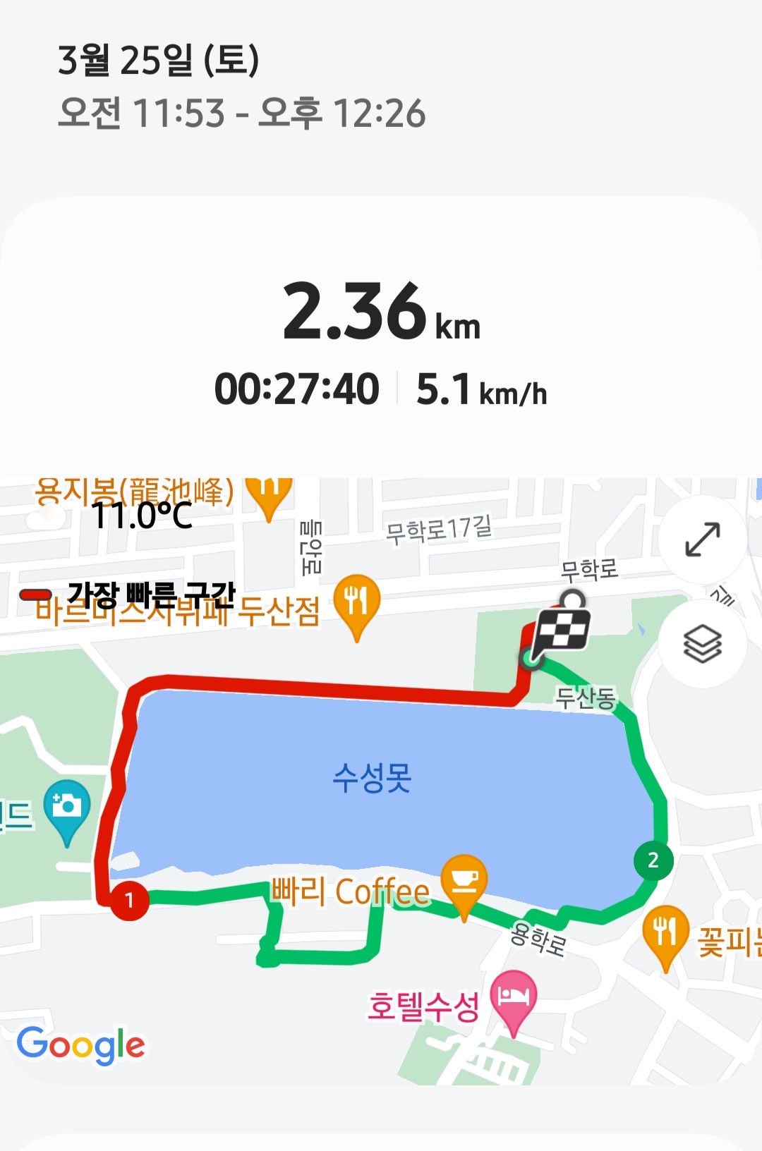 대구 벚꽃밭 16
