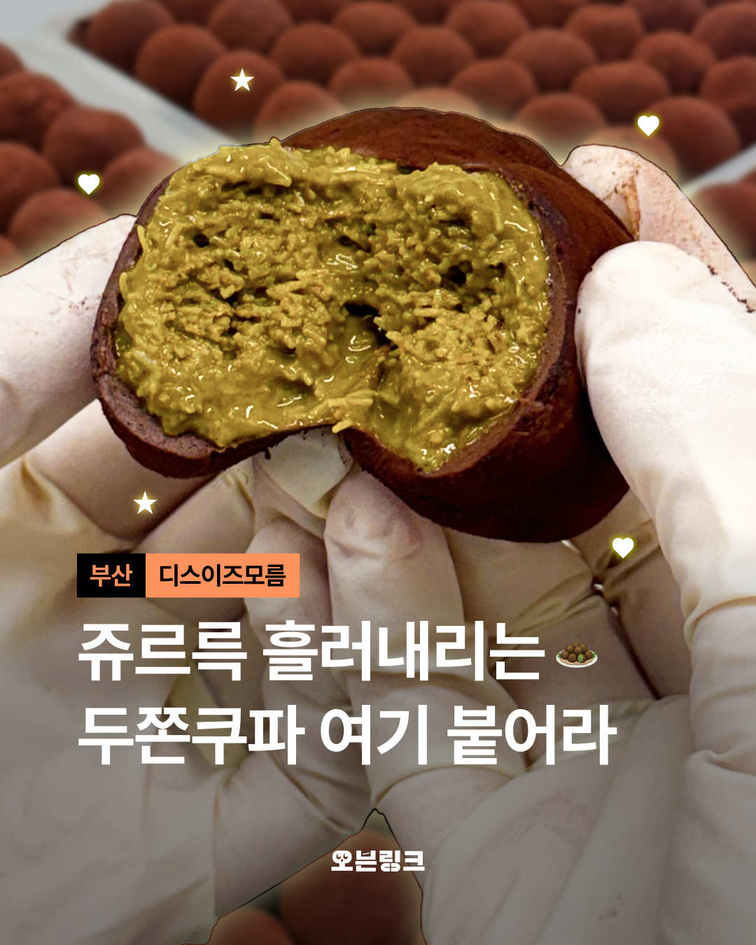 디스이즈모름 대표 사진