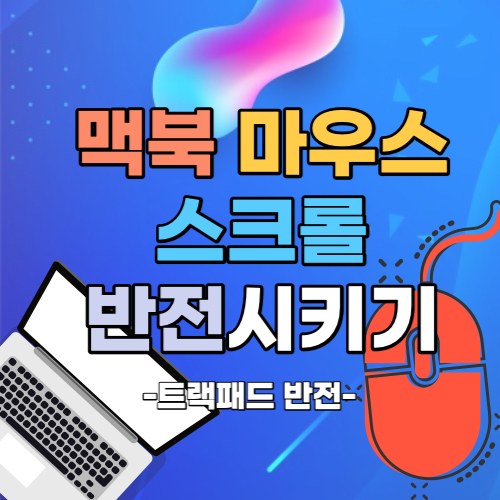  맥북 마우스 스크롤 반대 설정 - 윈도우와 같게