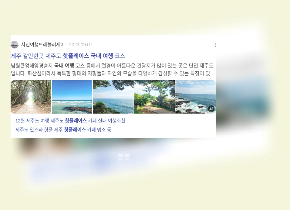 국내여행 SNS 핫플레이스_2_subsection