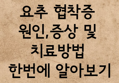  요추 협착증 원인,증상 및 치료방법