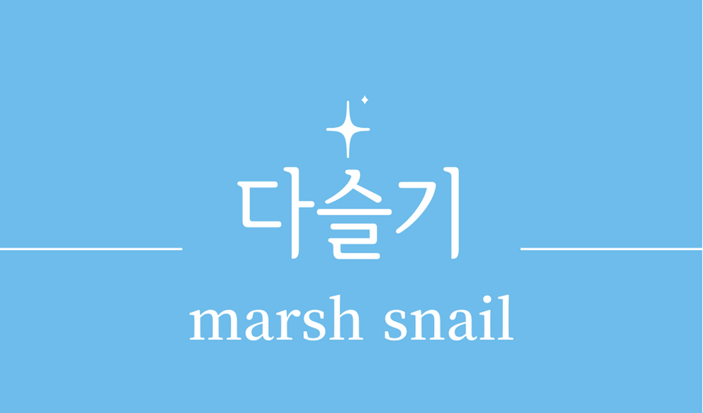 &#39;다슬기(marsh snail)&#39;